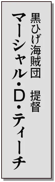 黒ひげ海賊団　提督マーシャル・D・ティーチ