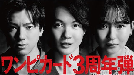 【公式】TVCM『ワンピカードの会 熱強弾』